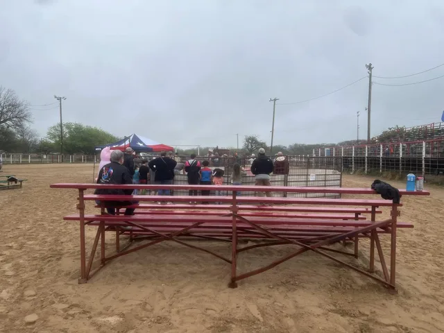 Red arena benches in the foreground with the crowd gathered at the hog-catch pen.
