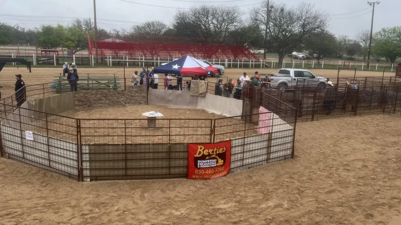 The Ham Rodeo hog-catch pen in the Bandera arena, with the Texas-flag tent and red bleachers behind it.
